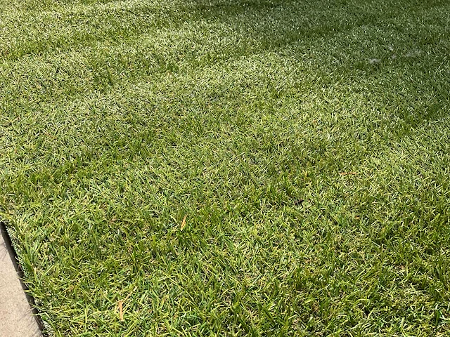 Kunstgras - afbeelding 2 van  4