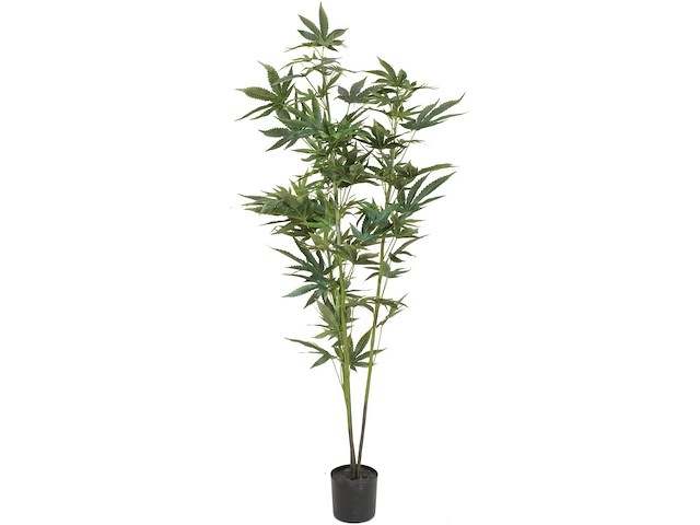 Kunstmatige hennepplant - afbeelding 1 van  2