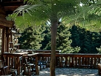 Kunstmatige palmboom - afbeelding 1 van  1