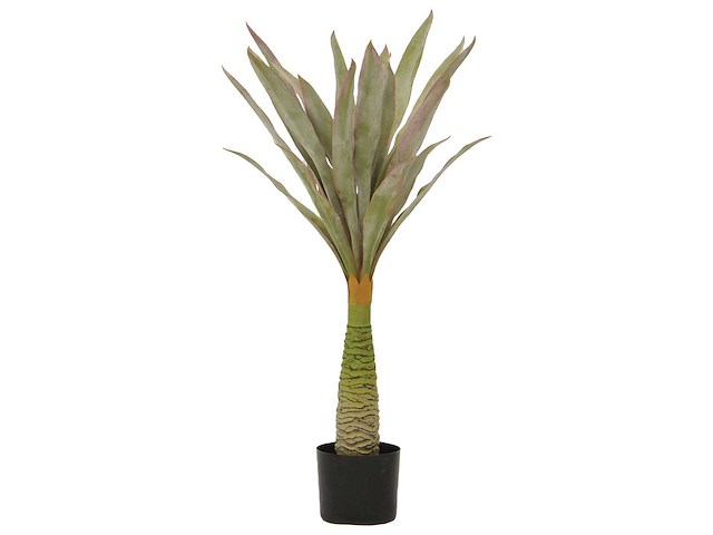 Kunstplant agave 85cm (3x) - afbeelding 1 van  1