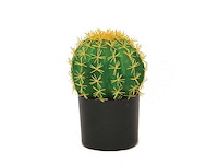 Kunstplant cactus 30cm (5x) - afbeelding 1 van  1