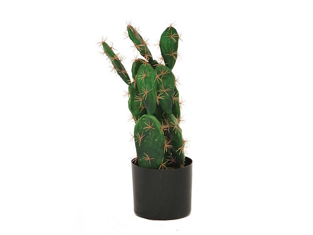 Kunstplant cactus 50cm (5x) - afbeelding 1 van  1