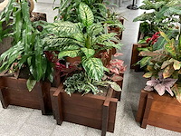 Kunstplant in plantenbak (2x) - afbeelding 2 van  4