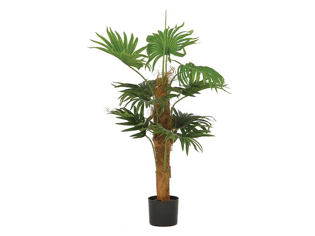 Kunstplant kwai 100cm (3x) - afbeelding 1 van  1