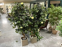 Kunstplant met pot (2x) - afbeelding 1 van  2