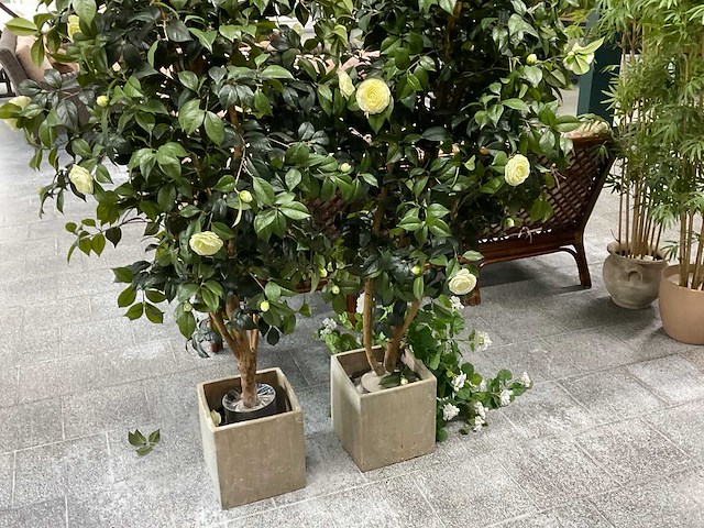 Kunstplant met pot (2x) - afbeelding 2 van  2