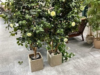 Kunstplant met pot (2x) - afbeelding 2 van  2