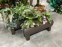 Kunstplant met pot (2x) - afbeelding 1 van  1