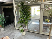 Kunstplant met pot - afbeelding 1 van  1