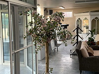 Kunstplant met pot - afbeelding 1 van  1