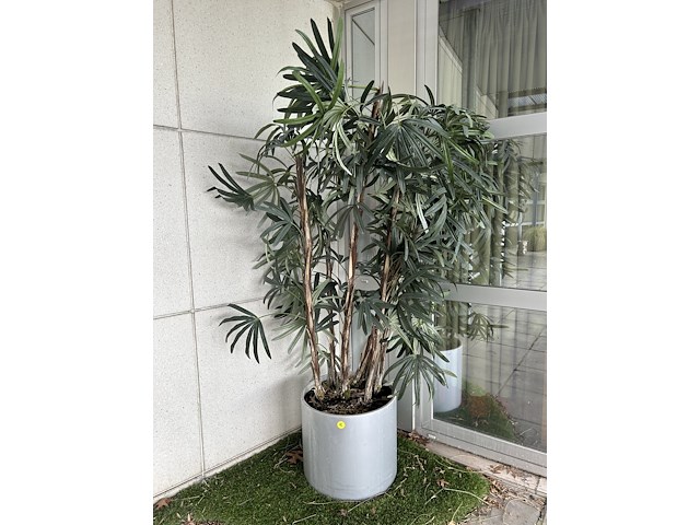 Kunstplant - afbeelding 1 van  1