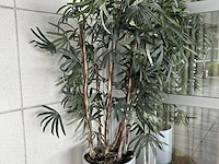 Kunstplant - afbeelding 1 van  1