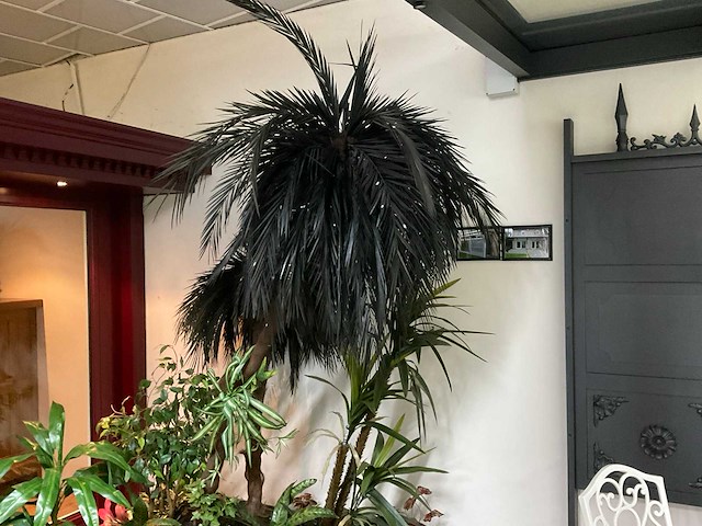 Kunstplanten met plantenbak - afbeelding 3 van  3