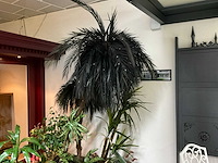 Kunstplanten met plantenbak - afbeelding 3 van  3