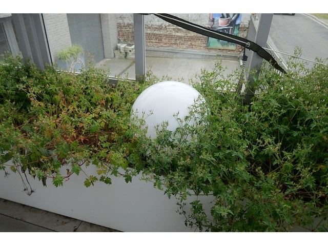 Kunststof buitenlampen - afbeelding 4 van  5