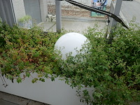 Kunststof buitenlampen - afbeelding 4 van  5