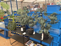 Kunststof kamerplanten (4x) - afbeelding 1 van  3