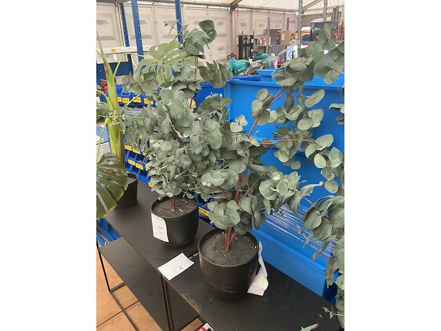 Kunststof kamerplanten (4x) - afbeelding 2 van  3
