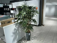 Kunststof plant