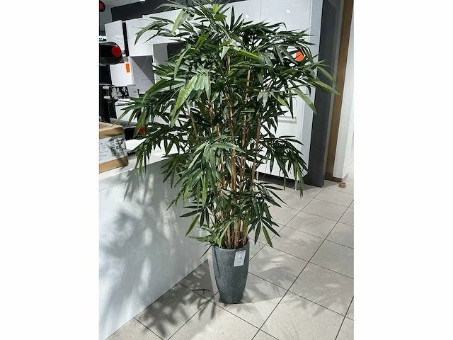 Kunststof plant - afbeelding 2 van  3