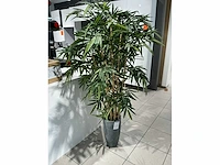 Kunststof plant - afbeelding 2 van  3