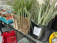 Kunststof planten (4x) - afbeelding 2 van  3
