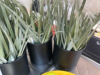 Kunststof planten (4x) - afbeelding 3 van  3