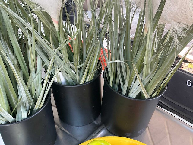 Kunststof planten (4x) - afbeelding 3 van  3