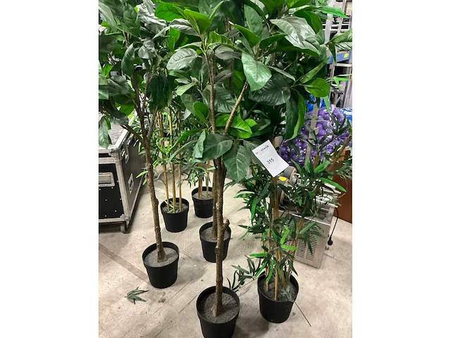 Kunststof planten (6x) - afbeelding 1 van  4