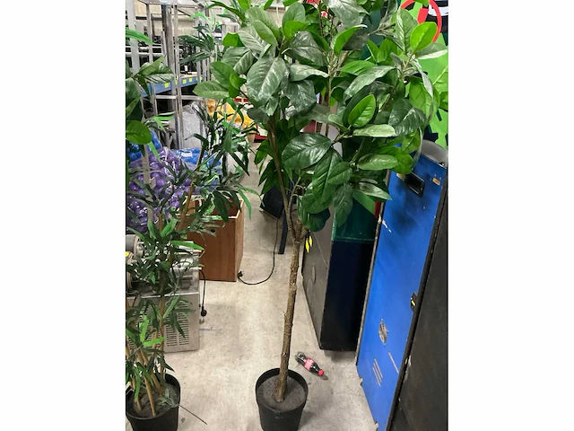 Kunststof planten (6x) - afbeelding 2 van  4