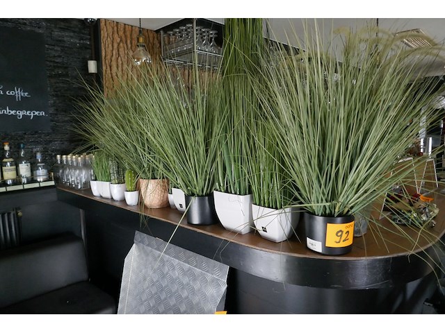 Kunststof planten - afbeelding 1 van  3