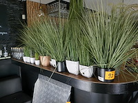 Kunststof planten - afbeelding 1 van  3