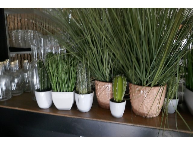 Kunststof planten - afbeelding 2 van  3