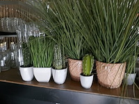 Kunststof planten - afbeelding 2 van  3