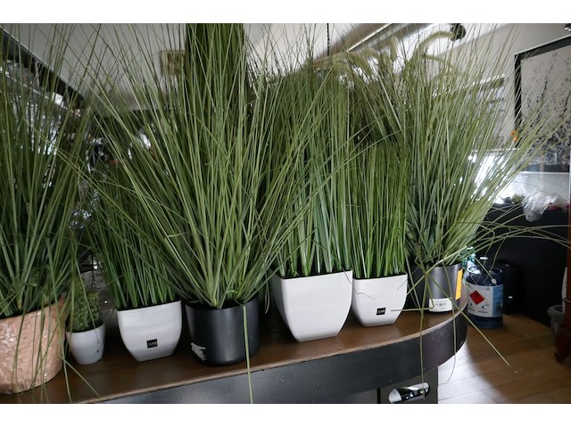 Kunststof planten - afbeelding 3 van  3