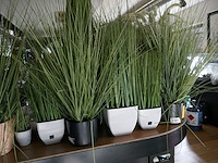 Kunststof planten - afbeelding 3 van  3