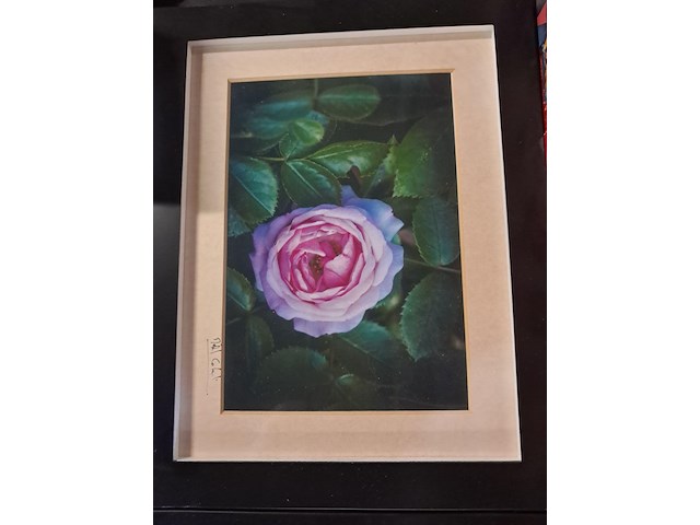 Kunstwerk in kader 2 x - afbeelding 2 van  4