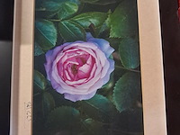 Kunstwerk in kader 2 x - afbeelding 2 van  4