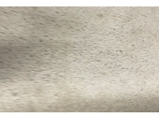 Kunstwerk - afbeelding 5 van  5