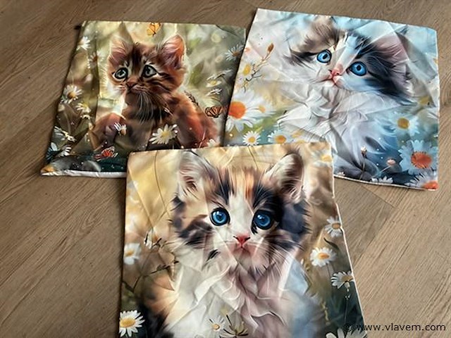 Kussen hoezen - afbeelding 1 van  1