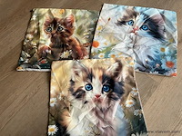 Kussen hoezen - afbeelding 1 van  1