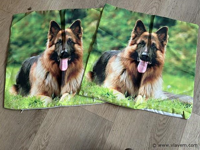 Kussen hoezen - afbeelding 1 van  1