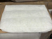 Kussens 80x55 cm (18 st/doos)