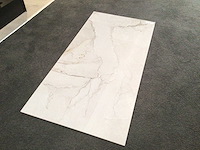 Kutahya adel white gepolijst 60x120 cm tegel 181,44 m² - afbeelding 2 van  3