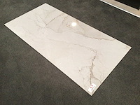 Kutahya adel white gepolijst 60x120 cm tegel 181,44 m² - afbeelding 3 van  3