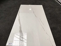 Kutahya albatros gepolijst 60x120 cm tegel 103,68 m² - afbeelding 5 van  6