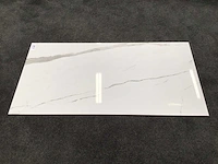 Kutahya albatros gepolijst 60x120 cm tegel 103,68 m² - afbeelding 6 van  6