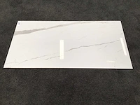 Kutahya albatros gepolijst 60x120 cm tegel 103,68 m² - afbeelding 1 van  6