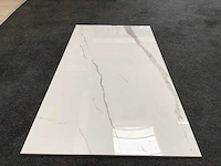 Kutahya albatros gepolijst 60x120 cm tegel 103,68 m² - afbeelding 5 van  6