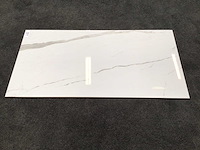 Kutahya albatros gepolijst 60x120 cm tegel 103,68 m² - afbeelding 4 van  6